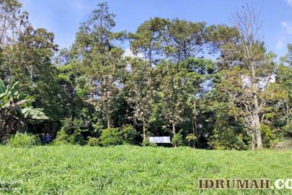 WhatsApp Image 2025-10-16 at 2.32.46 PM (1).jpeg